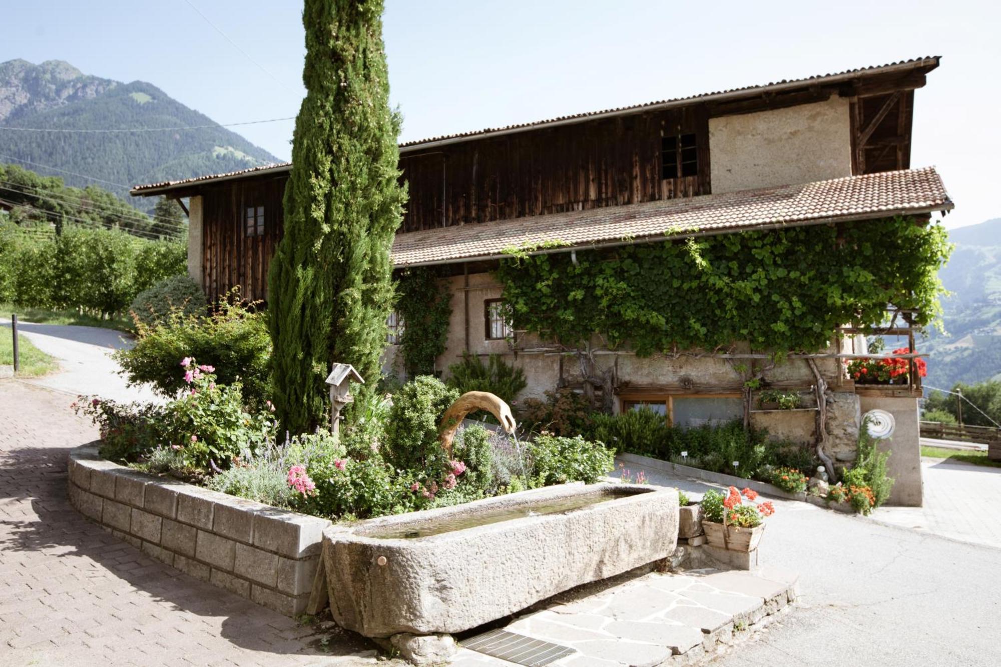 Bed and Breakfast Noessinghof Тироло Экстерьер фото